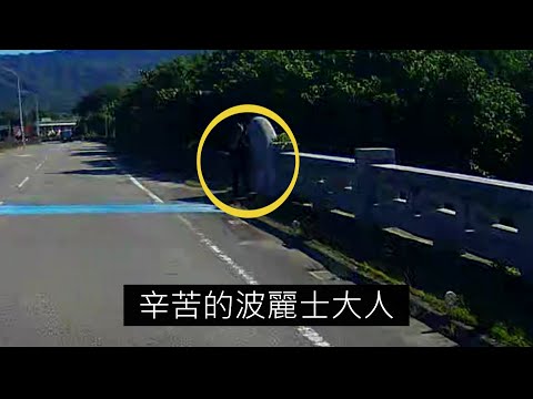 29日大家來吃三寶飯Vol.60