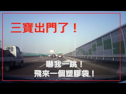 三寶出門了！天啊！國道出現塑膠袋！