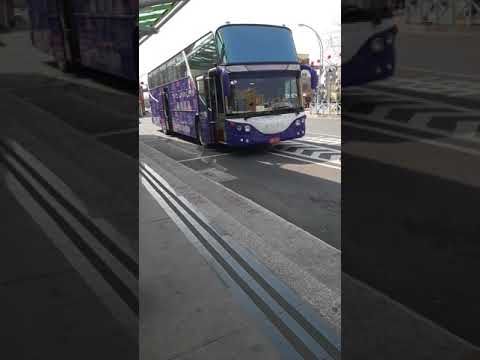 趣淘漫旅接駁車違規停放計程車格以及違規左轉