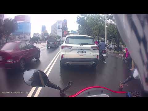  颱風有下雨，三寶過馬路