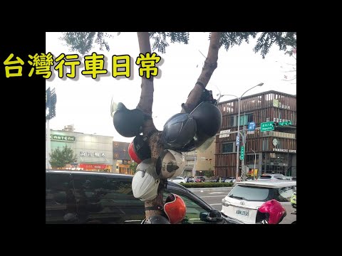 台灣行車日常 | 三寶行車日常
