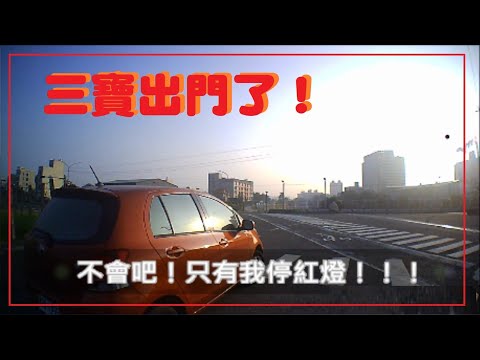 三寶出門了！不會吧！只有我停紅燈！！！