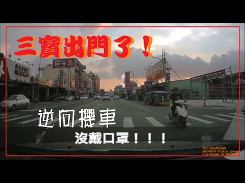 三寶出門了！逆向！還沒戴口罩！