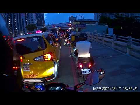 好大好可愛的鳥鳥 