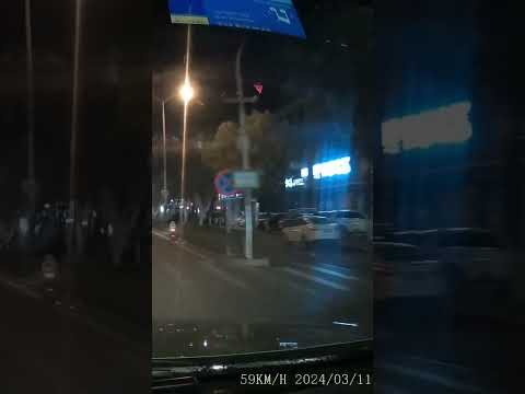 三寶來了，總會給妳驚喜！