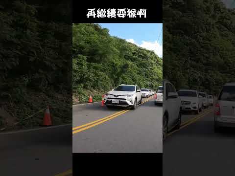 山道四輪猴子的一生 你看看 撞車了齁