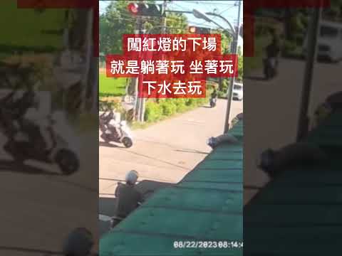 三寶闖紅燈的下場就是去玩水