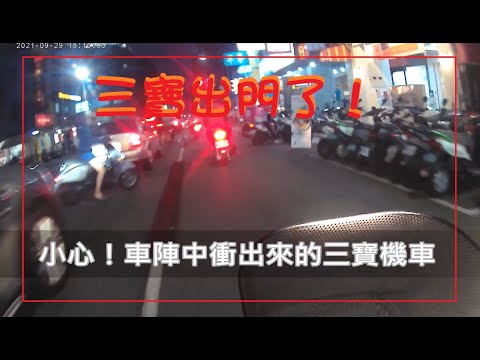 三寶出門了！小心！車陣中有衝出來的三寶喔！