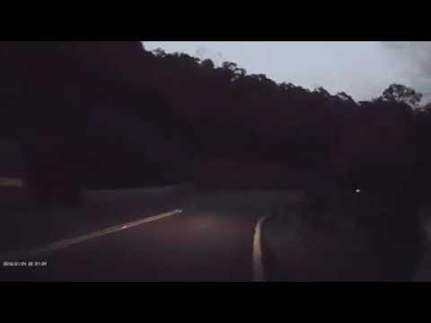 五指山過彎超車之驚魂