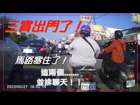 三寶出門了！兩位三寶並排聊天～路都被塞住了！