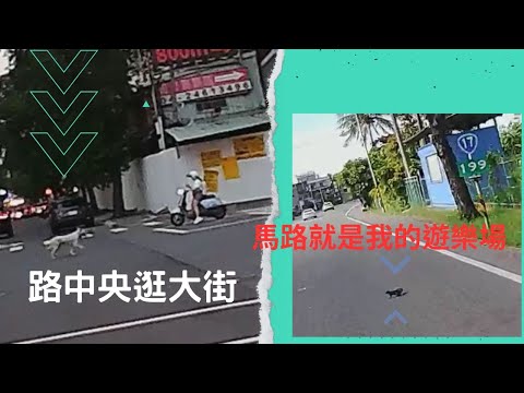 1日大家來吃三寶飯Vol.86