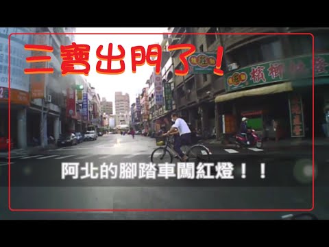 三寶出門了！闖紅燈的三寶阿北！這樣很危險喔！