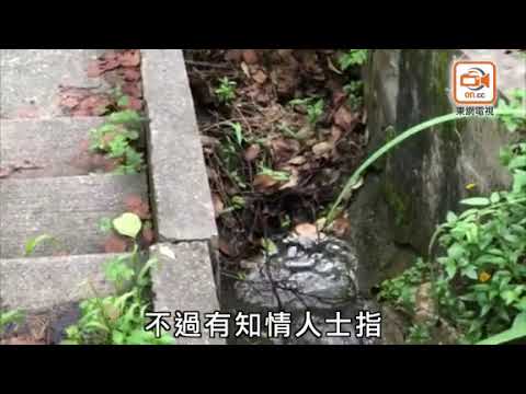 東方日報A1：防治蟲鼠組被斥懶散　議員促查核外勤紀錄