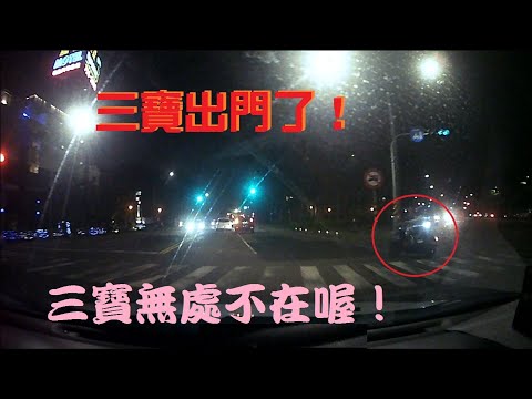 三寶出門了！三寶無處不在喔！