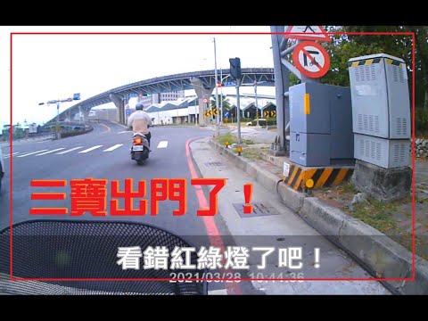 三寶出門了！看錯紅綠燈了吧！