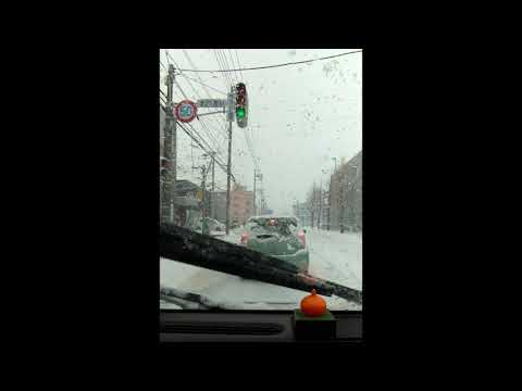 Vlog北海道開車自駕需注意事項