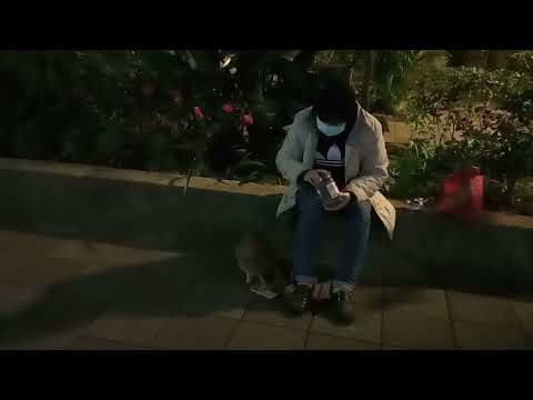 幸福的時刻，三寶         happy moment