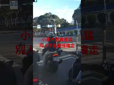 小車禍 