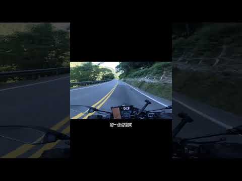 恭喜發財，武嶺上的逆向三寶