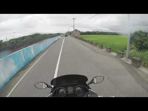 董ㄟ＿白鷺鷥違規穿越車道