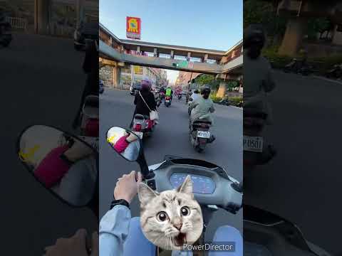 微療癒影片❤️警察北北看到你囉   