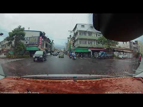 三寶理直氣壯闖紅燈