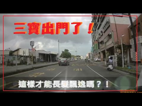 三寶出門了！這位小姐！這樣才能長髮飄逸嗎？