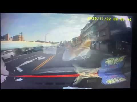 三寶奇遇記2 - 汽車逆向