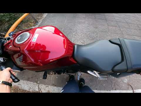 17分鐘可遇幾隻三寶？ 大約每分鐘遇1隻