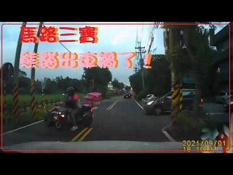 馬路三寶 哎呀！熊貓出車禍了！