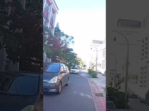 危險駕駛 低能三寶 路夠小條了還要逆向超腳踏車 害我躲上人行道 淡水 假日三寶特別多