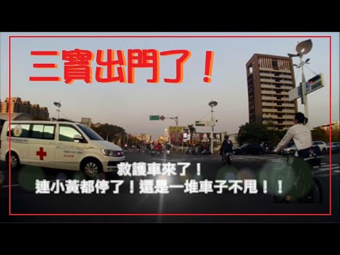 三寶出門了！救護車要過耶！