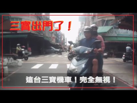 三寶出門了！唉！三寶完全無視！大家小心！