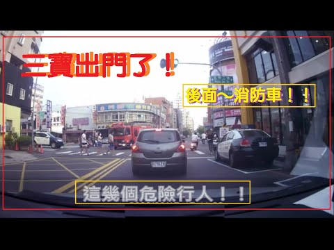 三寶出門了！危險行人！