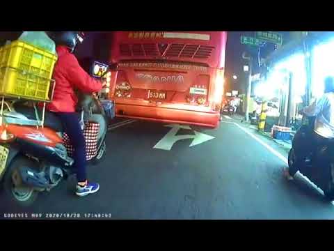 熊貓日常 三寶飯