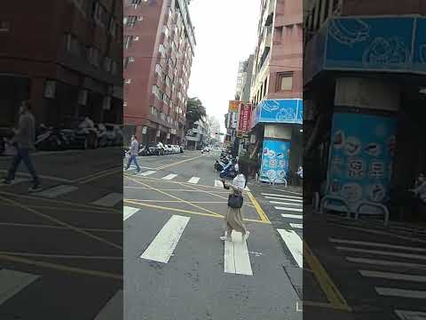 市政府附近的逆向猴子