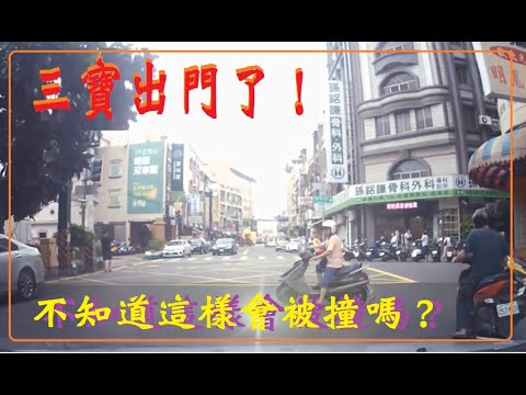 三寶出門了！你不知道這樣會被撞嗎？