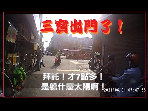 三寶出門了！拜託！才七點多～躲什麼太陽啊！