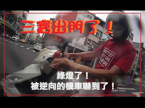三寶出門了！被逆向的機車嚇到了！