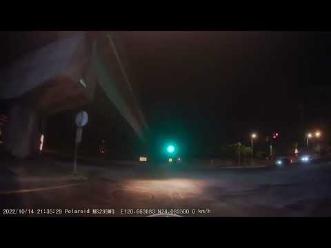 剛遇到野生的三寶