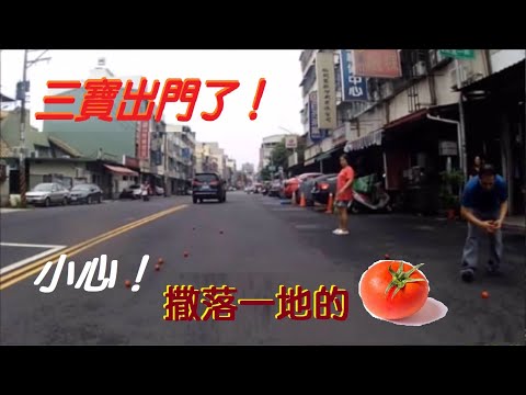 三寶出門了 小心！撒了一地的番茄喔！