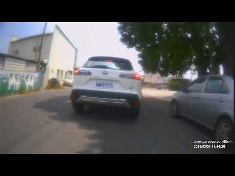 【BMR-0273】頭又大三寶違規跨越雙黃線 無故駛入來車道逆向行駛 樹蔭下驟然煞車 停車躲太陽