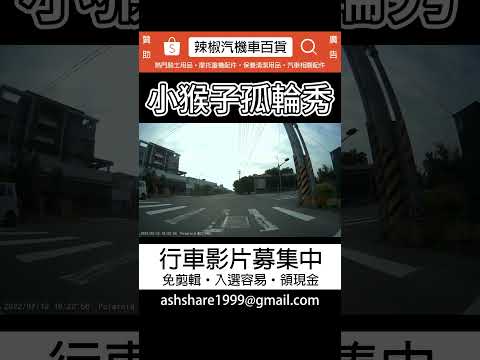 小猴子孤輪秀 (投稿)
