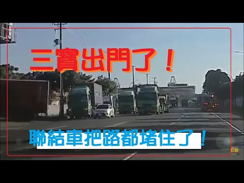 三寶出門了！聯結車把路都堵住了！