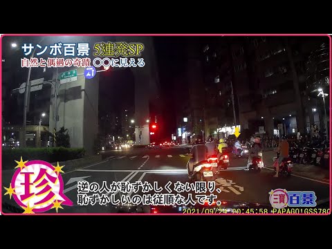 三寶百景 自然な出会いの奇跡（資訊欄有每篇的連結） | 台灣行車影像合集  - 3,4週