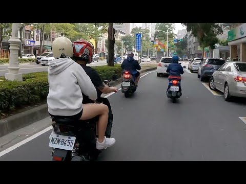 三寶日常 Vol.44 過個年，三寶紛紛出籠