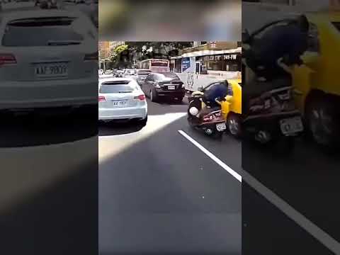 三寶特集（備份）｜公路猴子｜未注意車前 急切失敗擦撞｜網友：好療癒」、「6秒精華