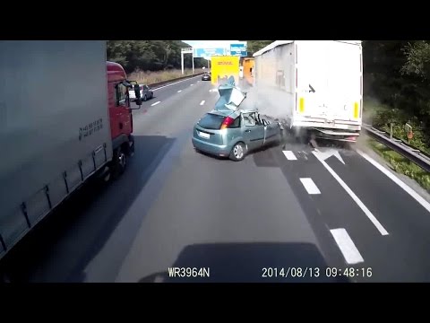 馬路三寶現今台灣社會上的亂象GZ Dog