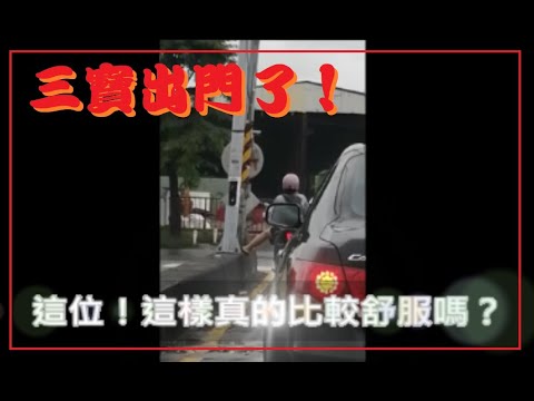 三寶出門了！這位！這樣真的比較舒服嗎？