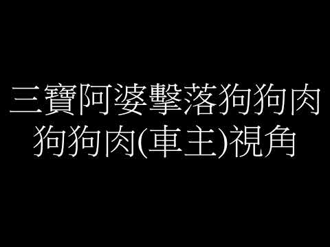 驚見狗狗肉(gogoro)慘遭三寶阿婆擊落